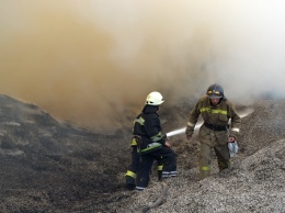 Пожар в Великом Дальнике тушили почти сутки