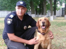 На Кировоградщине служебный пес помог разыскать сбежавших заключенных