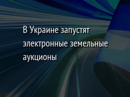 В Украине запустят электронные земельные аукционы