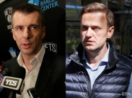 Прохоров отсудил у Навального 1 рубль за материал о вилле Хлопонина
