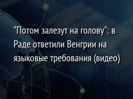 "Потом залезут на голову": в Раде ответили Венгрии на языковые требования (видео)