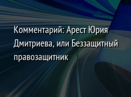 Комментарий: Арест Юрия Дмитриева, или Беззащитный правозащитник