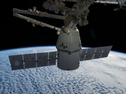 SpaceX запустила в космос собаку и корабль Dragon: трансляция