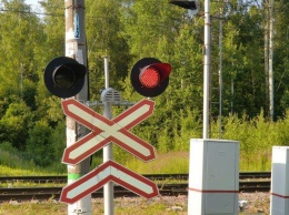 В Запорожской области упавшее дерево стало причиной коллапса на железной дороге (ФОТО)