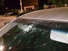 В Бердянке водитель проломил головой лобовое стекло