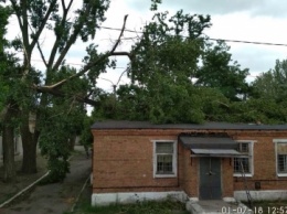 В Днепре дерево упало на пищеблок больницы