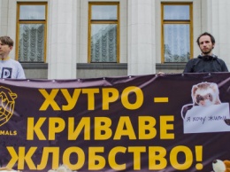 В центре Киева прошла акция против убийства животных ради меха