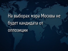 На выборах мэра Москвы не будет кандидата от оппозиции