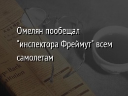 Омелян пообещал "инспектора Фреймут" всем самолетам