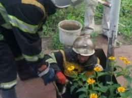 Под Кременчугом пенсионер умер в яме для насосной станции