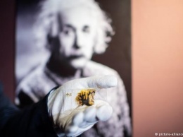 Мозг Эйнштейна выставлен на показ в немецком музее