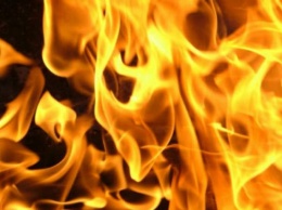 Пожар в Николаевской области: неизвестные подожгли лесное урочище