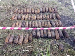 В Казанковском районе селянин искал металлолом и нашел 60 снарядов