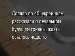Доллар по 40: украинцам рассказали о печальном будущем гривны, ждать осталось недолго