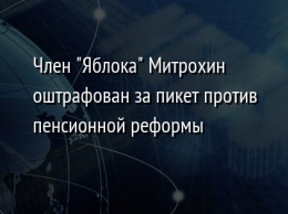 Член "Яблока" Митрохин оштрафован за пикет против пенсионной реформы