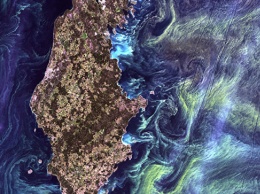 Ученые предсказали экологическую катастрофу в Балтийском море