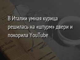 В Италии умная курица решилась на «штурм» двери и покорила YouTube