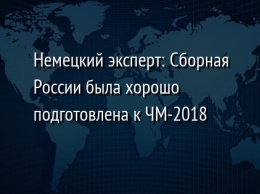 Немецкий эксперт: Сборная России была хорошо подготовлена к ЧМ-2018