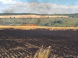 Кременчугские пожарные бьют тревогу: за неделю сгорели 48 га посевов