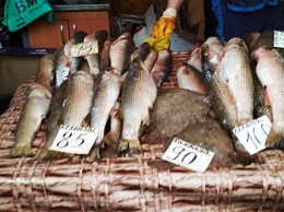 День рыбака в Бердянске. Рыбак без рыбы