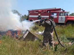 Коса в Бердянске стала местом возникновения пожаров