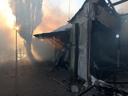 Из-за обстрела украинских силовиков в ДНР выгорело 120 га пшеницы