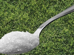 Почему нужно оставлять ложку сахара в саду в жаркую погоду