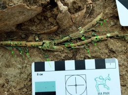 На Тамани нашли остатки древнегреческих музыкальных инструментов