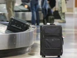 В России посадили полицейского, раскрывшего кражи из чемоданов в аэропорту Внуково