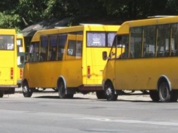 Патрульные рассказали, какие нарушения закона выявили за время проверки сумских перевозчиков