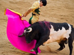 Испанский матадор лишился скальпа, столкнувшись с быком во время корриды
