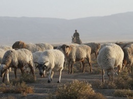 В Грузии пастух сознался в убийстве семьи американцев
