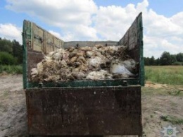 В Киевской области пытались незаконно зарыть в землю несколько тонн умерших курей (ФОТО)