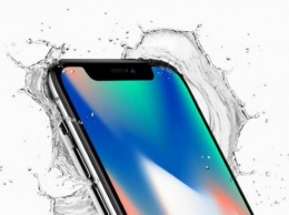 Для подводной съемки на iPhone X не требуется специальное оборудование - видео