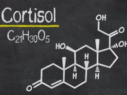 7 способов уменьшить уровень кортизола в вашем теле