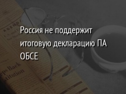 Россия не поддержит итоговую декларацию ПА ОБСЕ