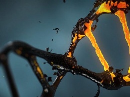 Тест ДНК: что можно узнать о себе из результатов
