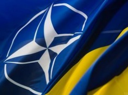 В НАТО официально подтвердили стремление Украины к партнерству