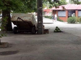 Настырный торговец арбузами оккупировал тротуар (фото)