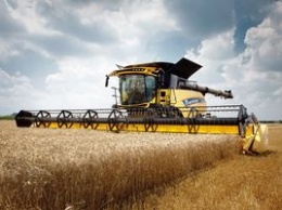Максим Мартынюк: Определен рейтинг 10 самых прибыльных зерновых культур