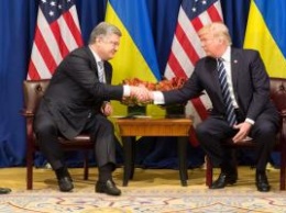 Трамп провел переговоры с Порошенко, несмотря на отмену большинства встреч, - Нусс