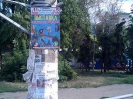 Незаконная реклама на столбах и деревьях - в Славянске инспекция занялась фиксацией нарушений