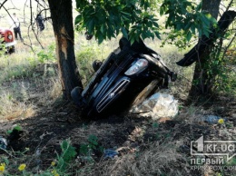 Под Кривым Рогом авто вылетело в кювет, погиб пассажир