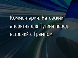 Комментарий: Натовский аперитив для Путина перед встречей с Трампом