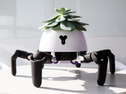 Представлен умный робот-паук для ухода за домашними растениями