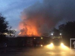 Масштабный пожар в Кривом Роге: охватив кафе, пламя перебросилось на соседние магазины
