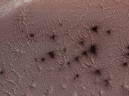 NASA показало фотографию "марсианских пауков"
