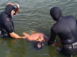На Днепропетровщине нашли утонувшего мужчину, - ФОТО 18+