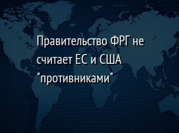 Правительство ФРГ не считает ЕС и США "противниками"