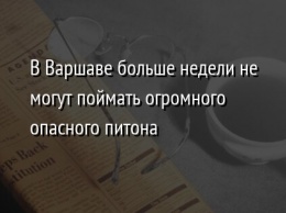 В Варшаве больше недели не могут поймать огромного опасного питона